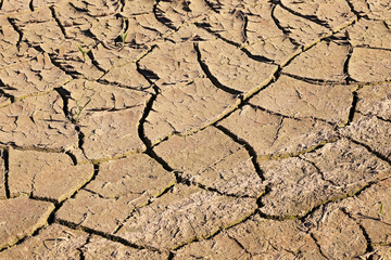 cracked earth field  