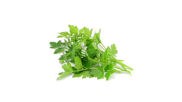 parsley rotating on white background