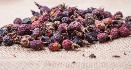 Dried berries of the medicinal wild rose