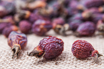 Dried berries of the medicinal wild rose