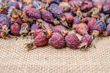 Dried berries of the medicinal wild rose