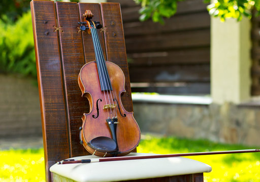 Violin. Violin outdoors. Live music. Wedding.Musician for the wedding.Violin under the open sky
