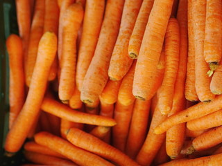 Fresh carrots