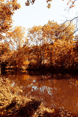 Details of peeling paint on an old green door; vertical image