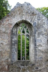 Fototapeta na wymiar Muckross Abbey