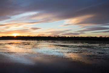 Fototapeta na wymiar reflet du coucher de soleil sur les prés inondés de Camargue 