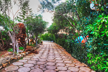 walkway in a tropical garden