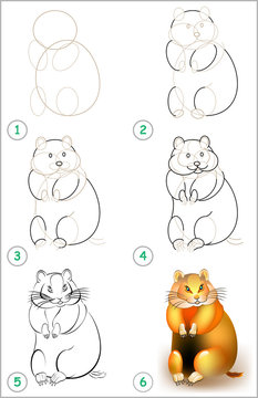 hamster drawings for kids