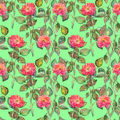 Watercolor pink roses seamless pattern texture background
