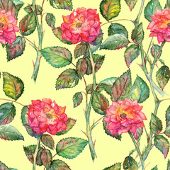 Watercolor pink roses seamless pattern texture background