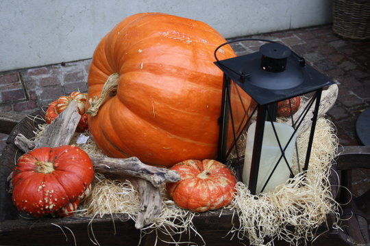 pumpkin and lantern on a wheelbarrow for halloween day