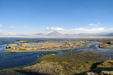 laguna Colorada na płaskowyżu Altiplano w Boliwii © sly10000