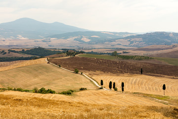 Landschaft bei Pienza, Sicht auf Monte Amiata