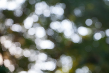 Abstract circular bokeh background of light