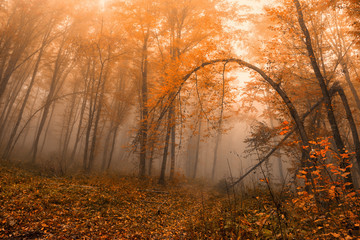 Fantasy fall landscape