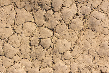 dry soil cracked earth texture