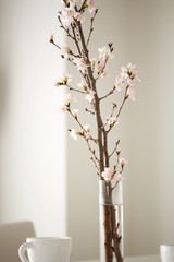 sakura on the table with cups