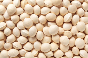 ginkgo nut with husks