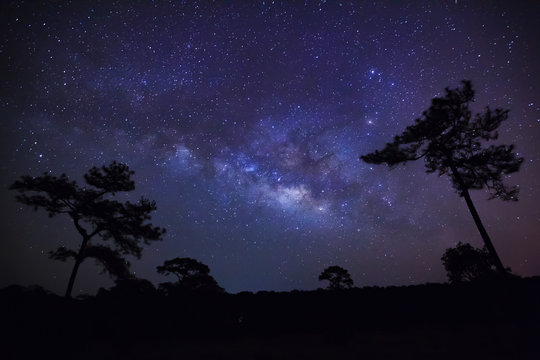 Milky Way at Phu Hin Rong Kla National Park,Phitsanulok Thailand