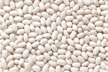 white kidney bean