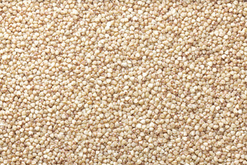 steamed buckwheat