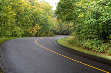 Autumn Road on a Rainy Day