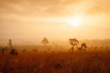 Fototapeta na wymiar Misty morning sunrise at Thung Salang Luang National Park Phetch