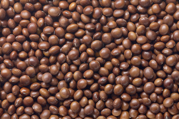 brown soybean