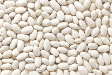 white kidney bean