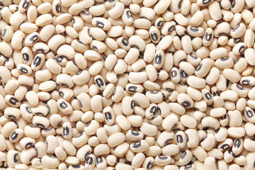 black eyed pea