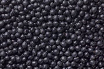 black soybean