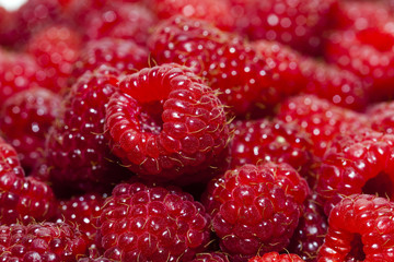 red raspberry  , close-up  