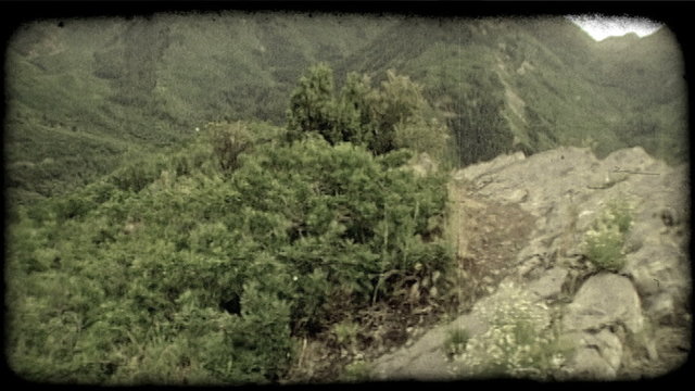 Green valleys 2. Vintage stylized video clip.