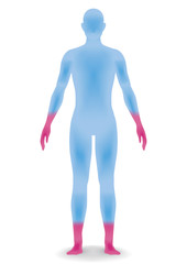 human body silhouette, vector illustration