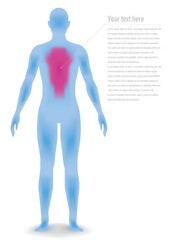 human body silhouette, vector illustration