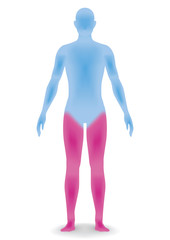 human body silhouette, vector illustration