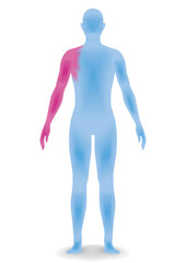 human body silhouette, vector illustration