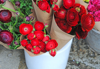 paeonia or peony in different shades of red, pink and purple in a market stall © annavee