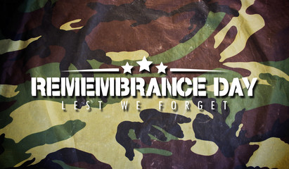 Remembrance Day. USA flag background