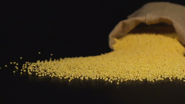 SLOW (240fps): A cloth bag falls on a table and a millet scatter out it
