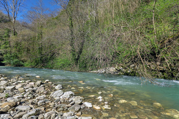Khosta river on the territory of the Caucasian biosphere reserve, Khosta district of Sochi in Krasnodar Krai of Russia
