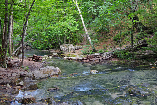 Uzen Images – Browse 35 Stock Photos, Vectors, and Video | Adobe Stock