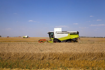 Fototapeta premium Harvester in the field 