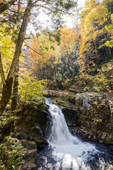 照葉峡の山彦の滝と黄葉
