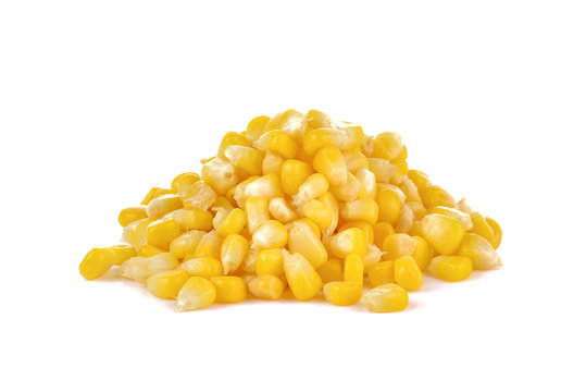  boiled sweet corn on white background