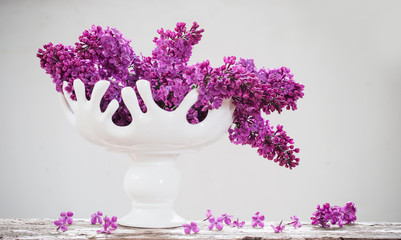Still life with a blooming branch of lilac