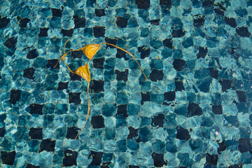 Yellow bikini top floating in blue swimming pool