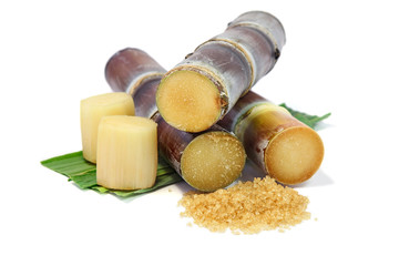 Sugarcane with leaves , pieces of sugarcane and brown sugar on white background.