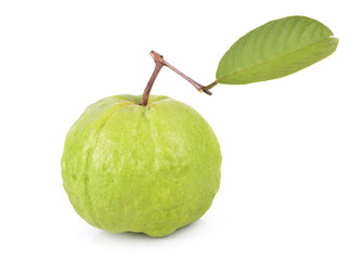 guava on white background