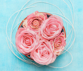 Bowl with roses on blue background, top view